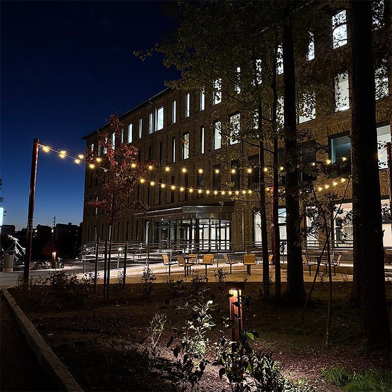 Projekt, Linspänn belysning: Linspänd belysning skapar rum i rummet på Campus Umeå